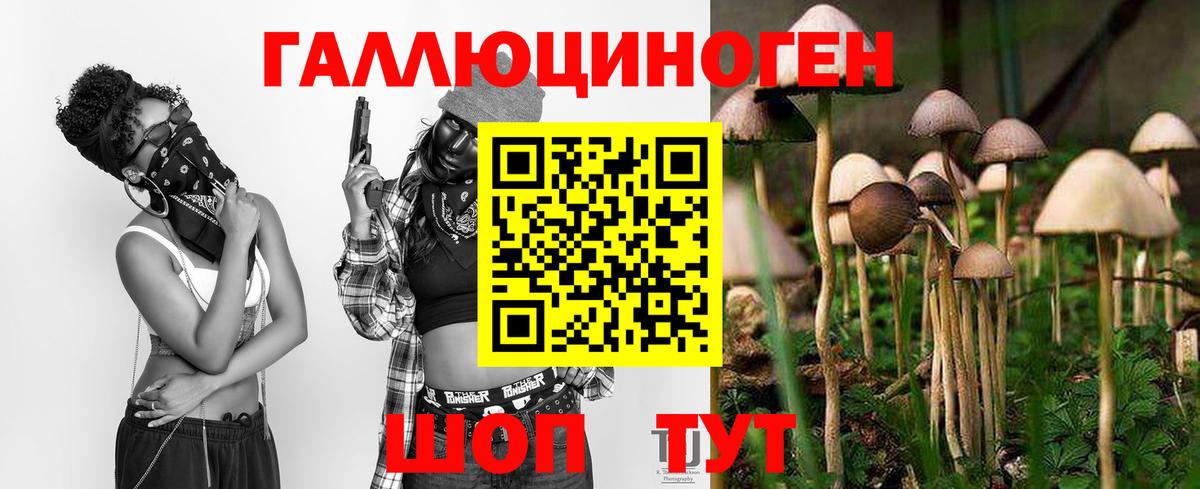 Галлюциногенные грибы Psilocybe Альметьевск