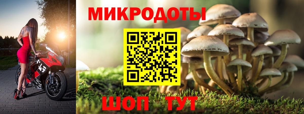 Псилоцибиновые грибы GOLDEN TEACHER  Галлюциногенные грибы мицелий  Альметьевск  Вход с VPN 